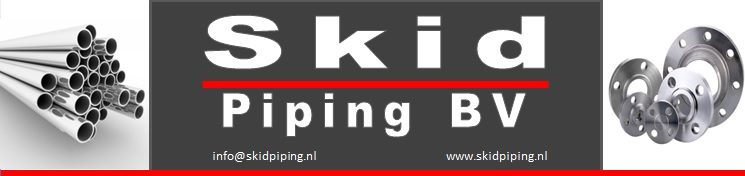 SKid Piping